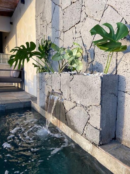 Cocoon Love Avec Piscine Privative Saint-Louis Ngoại thất bức ảnh